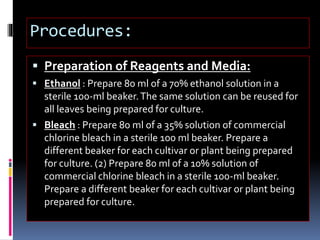 Procedures:
 Preparation of Reagents and Media:
 Ethanol : Prepare 80 ml of a 70% ethanol solution in a
sterile 100-ml beaker.The same solution can be reused for
all leaves being prepared for culture.
 Bleach : Prepare 80 ml of a 35% solution of commercial
chlorine bleach in a sterile 100 ml beaker. Prepare a
different beaker for each cultivar or plant being prepared
for culture. (2) Prepare 80 ml of a 10% solution of
commercial chlorine bleach in a sterile 100-ml beaker.
Prepare a different beaker for each cultivar or plant being
prepared for culture.
 