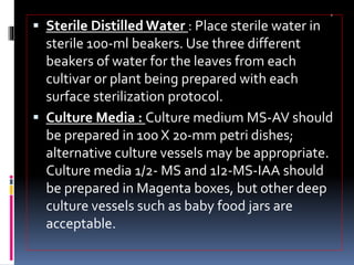 a
 Sterile Distilled Water : Place sterile water in
sterile 100-ml beakers. Use three different
beakers of water for the leaves from each
cultivar or plant being prepared with each
surface sterilization protocol.
 Culture Media : Culture medium MS-AV should
be prepared in 100 X 20-mm petri dishes;
alternative culture vessels may be appropriate.
Culture media 1/2- MS and 1I2-MS-IAA should
be prepared in Magenta boxes, but other deep
culture vessels such as baby food jars are
acceptable.
 