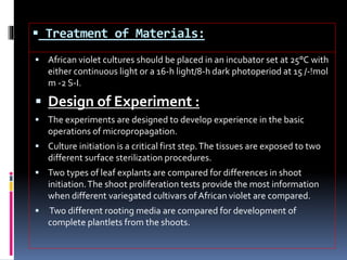  Treatment of Materials:
 African violet cultures should be placed in an incubator set at 25°C with
either continuous light or a 16-h light/8-h dark photoperiod at 15 /-!mol
m -2 S-I.
 Design of Experiment :
 The experiments are designed to develop experience in the basic
operations of micropropagation.
 Culture initiation is a critical first step.The tissues are exposed to two
different surface sterilization procedures.
 Two types of leaf explants are compared for differences in shoot
initiation.The shoot proliferation tests provide the most information
when different variegated cultivars of African violet are compared.
 Two different rooting media are compared for development of
complete plantlets from the shoots.
 