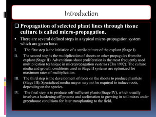 Adventitious Shoot Proliferation in Plant culture.pptx