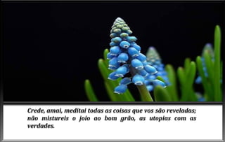 Advento do-espirito-de-verdade-cap-vi (1)