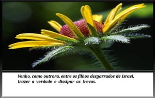 Advento do-espirito-de-verdade-cap-vi (1)