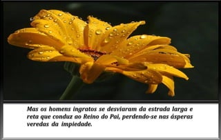 Advento do-espirito-de-verdade-cap-vi (1)