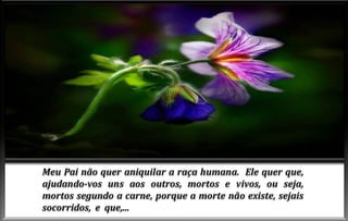 Advento do-espirito-de-verdade-cap-vi (1)