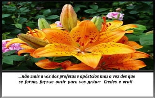 Advento do-espirito-de-verdade-cap-vi (1)