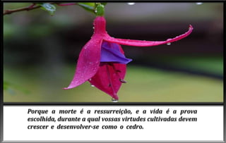 Advento do-espirito-de-verdade-cap-vi (1)