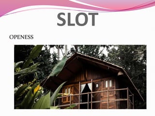SLOT
OPENESS
 