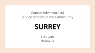 Course Adventure #4
Service Sectors in my Community:
SPSC 2210
Mandip Gill
 