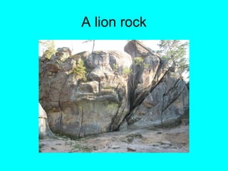 A lion rock
 