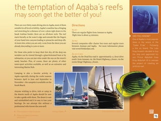 the temptation of Aqaba’s reefs
may soon get the better of you!
There are over thirty main diving sites in Aqaba, most of them          Directions
suitable for all levels of ability. Aqaba’s coastline has a fringing
                                                                        By air:
reef stretching for a distance of over 25kms right down to the
                                                                        There are regular ﬂights from Amman to Aqaba;
Saudi Arabian border; there are no off-shore reefs. The reef            ﬂight time is about 45 minutes.
starts literally at the water’s edge and extends like the ﬁngers                                                                            DID YOU KNOW?
of your hand into canyons leading to pinnacles and drop offs.                                                                               One of Aqaba’s most popular
                                                                        By bus:
At most sites, when you are only 100m from the shore you are                                                                                dives is the wreck of the
                                                                        Several companies offer charter bus tours and regular tours
already descending to 50m or more.                                      between Amman and Aqaba. For more information please                “Cedar Pride” - Following
                                                                        visit www.VisitJordan.com.                                          a fire on board, The Late
For those who prefer to keep their feet dry, all the deep sea                                                                               King Hussein decided to buy
                                                                        By car or taxi:                                                     the ship and appointed his
wonders can be viewed through a glass-bottomed boat or by
                                                                        Aqaba, via the Dead Sea road is approximately a 3 hour drive        son Prince Abdullah (now
submarine, or you can just relax under the sun on the resort’s
                                                                        south from Amman, via the Desert Highway, 4 hours ; via the
sandy beaches. Plus, of course, there are plenty of other                                                                                   King Abdullah II) to oversee
                                                                        scenic Kings’ Highway, 5 hours.
water-sport activities available, as well as an extensive and                                                                               the project of creating an
interesting Marine Park.                                                                                                                    artificial reef.


Camping is also a favorite activity in
Aqaba especially during the cooler seasons
between April to June and September to
November – the campsite is available on the
South Beach.

Anyone wishing to drive, trek or camp in
the deserts north of Aqaba should be sure
to take a guide with them. The desert is vast
and uninhabited and it is easy to lose your
bearings. Do not attempt this without a
professional who knows the area well.

    Divers prepare to take the plunge.            Sailing in Aqaba.                                       A live-aboard boat in Aqaba. 





    Protecting Aqaba’s underwater
                                                                                                                                                                   15





    environment.
 