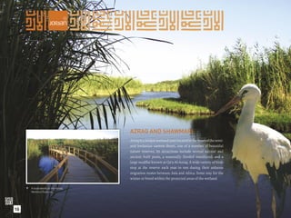 AZRAQ AND SHAWMARI
                                  Azraq is a unique wetland oasis located in the heart of the semi-
                                  arid Jordanian eastern desert, one of a number of beautiful
                                  nature reserves. Its attractions include several natural and
                                  ancient built pools, a seasonally ﬂooded marshland, and a
                                  large mudﬂat known as Qa’a Al-Azraq. A wide variety of birds
                                  stop at the reserve each year to rest during their arduous
                                  migration routes between Asia and Africa. Some stay for the
                                  winter or breed within the protected areas of the wetland.

      A boardwalk at the Azraq
       Wetland Reserve.




16
 