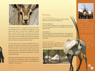 Directions
                                                                  Azraq Wetland Reserve:
                                                                  Azraq is a one and a half hour drive east from Amman.
                                                                  There are two major routes leading there:
                                                                                                                                      DID YOU KNOW?
                                                                                                                                      The Oryx, an elegant white
                                                                  The Desert Highway:
                                                                                                                                      antelope, became extinct
                                                                  From the Desert Highway, take the Madaba turn and head
                                                                  east (in the opposite direction from Madaba). Follow the road       in Jordan around the 1920s.
The Shawmari Reserve is a breeding centre for some of the
                                                                  signs to Azraq.                                                      The last known wild Oryx
most endangered and rare wildlife in the Middle East. In this
                                                                                                                                        in the world was killed by
small reserve, there is a large herd of magniﬁcent Arabian
                                                                  Zarqa Highway:                                                         hunters in Oman in 1972.
Oryx, a species that was once on the verge of extinction.         In Amman, go east on King Abdullah Street, driving past the
There are also ostriches, onagers and graceful desert gazelles.   Roman Amphitheatre to join the Amman - Zarqa Highway.                  In 1978, eleven Oryx were
These animals are all rebuilding their populations in this safe   The road to Azraq branches off from the highway before you
                                                                                                                                          re-located in Shawmari.
haven, where they are protected from the hunting and habitat      reach Zarqa.
                                                                                                                                               The number of Oryx
destruction that once threatened their existence.
                                                                                                                                                    has now in-
                                                                  Shawmari Wildlife Reserve:
                                                                  Shawmari lies about 125 kilometres east                                            creased to a
The observation tower at Shawmari Wildlife Reserve is a
                                                                  Amman, near Azraq Village, and can be                                               phenomenal
great place for bird-watching and spotting the many different
                                                                  reached by following the directions given                                           two     hun-
animals in the Reserve, such as the Oryx, which is best seen      for the Azraq Oasis.                                                                 dred!
in the early hours of the morning. Visitors are given the
opportunity to take a safari trip to see ﬁrst-hand the results
of the international rescue efforts undertaken to save these
endangered animals.

Shawmari Camp is located at the east end of the Nature Centre.
For further tour information, contact the headquarters of
the Royal Society for the Conservation of Nature (RSCN) via                                                     Dead Sea Hotel. 
telephone: + 962 6 461-6523.                                                                            Floating in the Dead Sea. 

 A Roe Deer.                                                      The campsite at Shawmari.          The Arabian Oryx.

                                                                                                                                                             17
    A Stork.

 