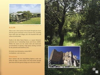 The campsite at Ajlun Nature Reserve. 

AJLUN
Ajlun is just a short journey from Jerash through pine forest
and olive groves and boasts scores of ancient sites, including
water mills, forts and villages, all in the beautiful hills and
valleys of north Jordan.

Nearby is the Ajlun Nature Reserve, a 13 square kilometre
protected area of outstanding beauty and diverse wildlife.
Within the reserve are two nature trails and chalet-style
accommodation occupying a large grassy clearing, enclosed
by oak, pistachio and strawberry trees.

For further tour information, contact RSCN
via telephone: + 962 6 461-6523.

Directions
From Amman take the Zarqa-Mafraq highway north and
follow the signs. A short journey west from Jerash, through
pine forest and olive groves, brings you to the town of Ajlun.




                                                                      Ajlun Castle.


                                                                                       23
 