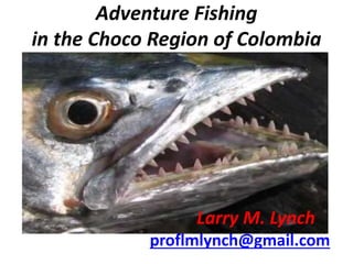 Adventure Fishing
in the Choco Region of Colombia
proflmlynch@gmail.com
Larry M. Lynch
 