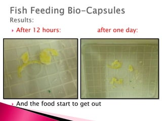  After 12 hours: after one day:
 And the food start to get out
 