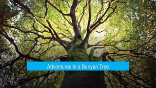 Adventures in a Banyan Tree
 