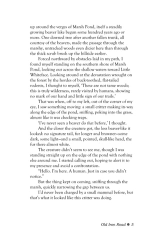 up around the verges of Marsh Pond, itself a steadily
growing beaver lake begun some hundred years ago or
more. One downed tree after another fallen trunk, all
courtesy of the beavers, made the passage through the
marshy, untracked woods even dicier here than through
the thick scrub brush up the hillside earlier.
     Forced northward by obstacles laid in my path, I
found myself standing on the southern shore of Marsh
Pond, looking out across the shallow waters toward Little
Whiteface. Looking around at the devastation wrought on
the forest by the hordes of buck-toothed, flat-tailed
rodents, I thought to myself, ‘These are not tame woods;
this is truly wilderness, rarely visited by humans, showing
no mark of our hand and little sign of our trails.’
     That was when, off to my left, out of the corner of my
eye, I saw something moving: a small critter making its way
along the edge of the pond, sniffing, poking into the grass,
almost like it was checking traps.
     ‘I’ve never seen a beaver do that before,’ I thought.
     And the closer the creature got, the less beaver-like it
looked: no signature tail, fur longer and browner—some
dark, some light—and a small, pointed, skull-like head, the
fur there almost white.
     The creature didn’t seem to see me, though I was
standing straight up on the edge of the pond with nothing
else around me. I started calling out, hoping to alert it to
my presence and avoid a confrontation.
     “Hello. I’m here. A human. Just in case you didn’t
notice.”
     But the thing kept on coming, sniffing through the
marsh, quickly narrowing the gap between us.
     I’d never been charged by a small mammal before, but
that’s what it looked like this critter was doing.




                                         Old Iron Road     5
 