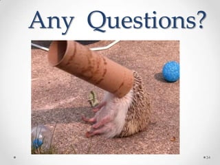 Any Questions?




             34
 