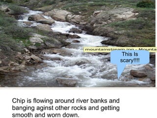 Chip is flowing around river banks and banging aginst other rocks and getting smooth and worn down. This Is scary!!!! 