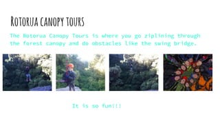 Rotoruacanopytours
The Rotorua Canopy Tours is where you go ziplining through
the forest canopy and do obstacles like the swing bridge.
It is so fun!!!
 