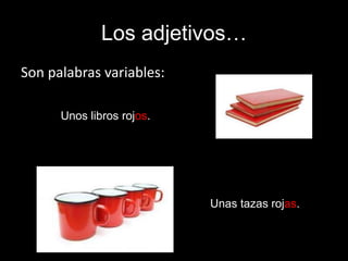 Los adjetivos…
Son palabras variables:
Unos libros rojos.

Unas tazas rojas.

 
