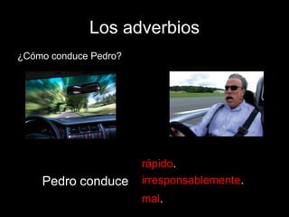 Los adverbios
¿Cómo conduce Pedro?

Pedro conduce

rápido.
irresponsablemente.
mal.

 