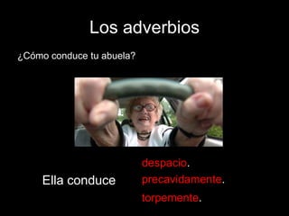 Los adverbios
¿Cómo conduce tu abuela?

Ella conduce

despacio.
precavidamente.
torpemente.

 