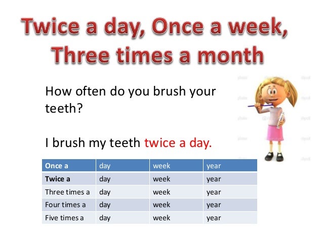 how often do you feed an 8 week puppy adverbsfrequency presentation class 5 session 1 how often do you feed an 8 week puppy adverbsfrequency presentation class 5 session 1