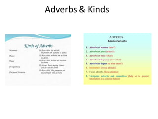 Adverbs & Kinds
 
