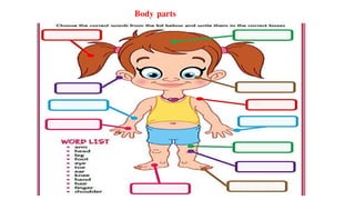 Body parts
 