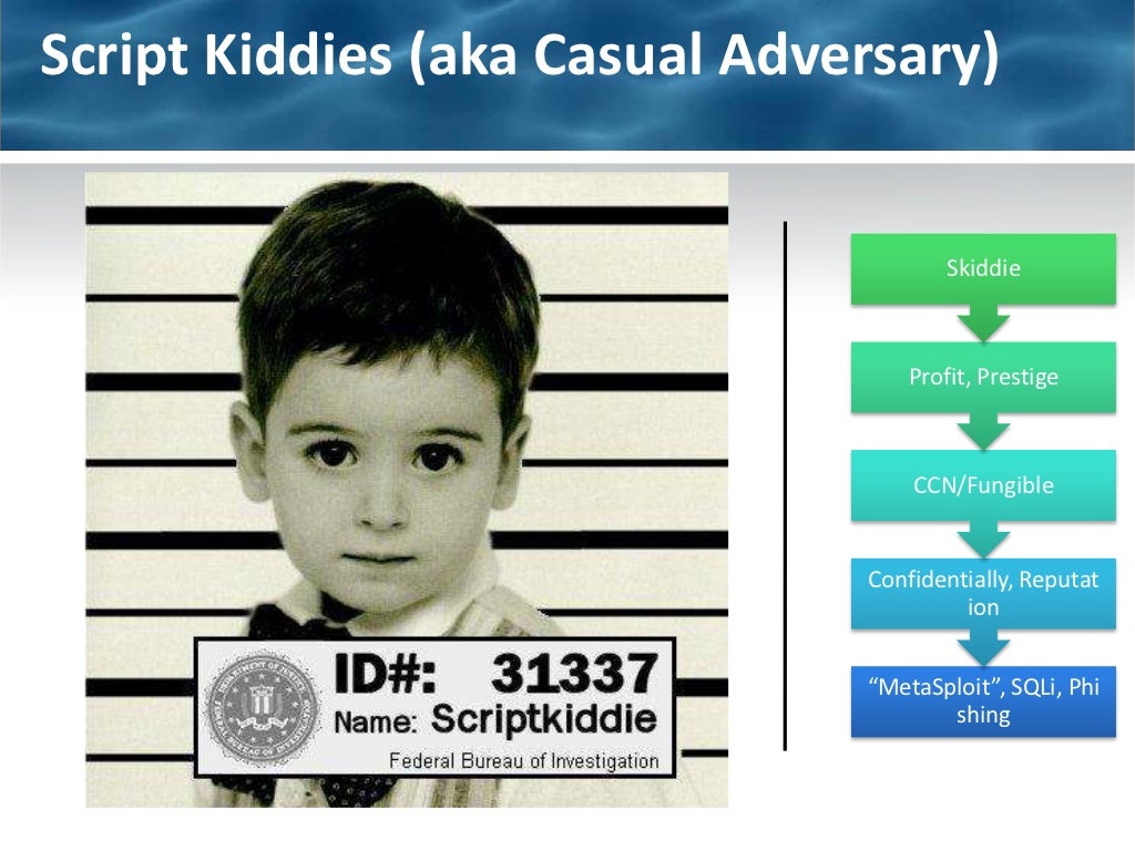Script Kiddies (aka Casual Adversary)