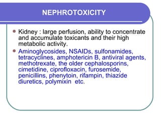 NEPHROTOXICITY Kidney : large perfusion, ability to concentrate and accumulate toxicants and their high metabolic activity.  Aminoglycosides, NSAIDs, sulfonamides, tetracyclines, amphotericin B, antiviral agents, methotrexate, the older cephalosporins, cimetidine, ciprofloxacin, furosemide, penicillins, phenytoin, rifampin, thiazide diuretics, polymixin  etc .  