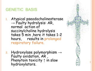 GENETIC BASIS
1. Atypical pseodocholinesterase
→ Faulty hydrolysis: AR,
normal action of
succinylcholine hydrolysis
takes 5 min ,here it takes 1-2
hours, results in prolonged
respiratory failure.
2. Hydroxylase polymorphism →
Faulty oxidation, AR ,
Phenytoin toxicity ↑ in slow
hydroxylators.
 