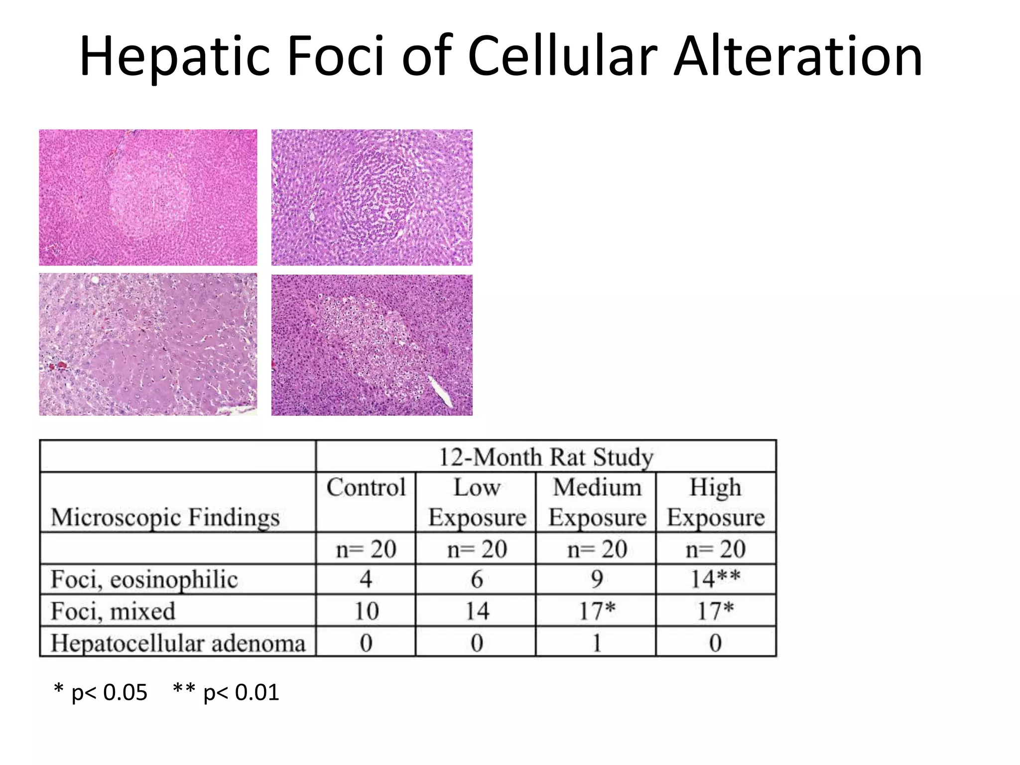 Hepatic Foci of Cellular Alteration
* p< 0.05 ** p< 0.01
 