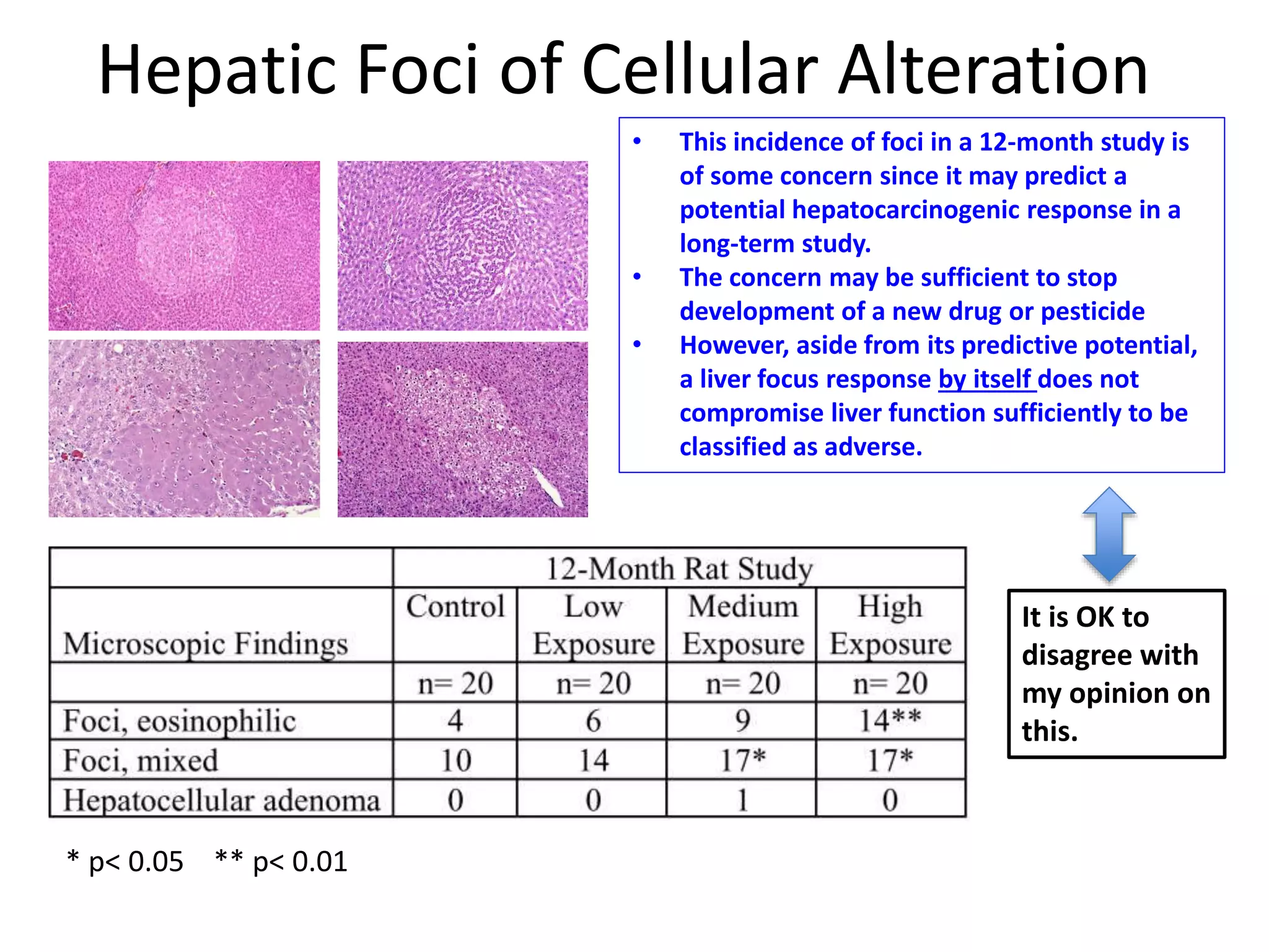 Hepatic Foci of Cellular Alteration
* p< 0.05 ** p< 0.01
• This incidence of foci in a 12-month study is
of some concern since it may predict a
potential hepatocarcinogenic response in a
long-term study.
• The concern may be sufficient to stop
development of a new drug or pesticide
• However, aside from its predictive potential,
a liver focus response by itself does not
compromise liver function sufficiently to be
classified as adverse.
It is OK to
disagree with
my opinion on
this.
 
