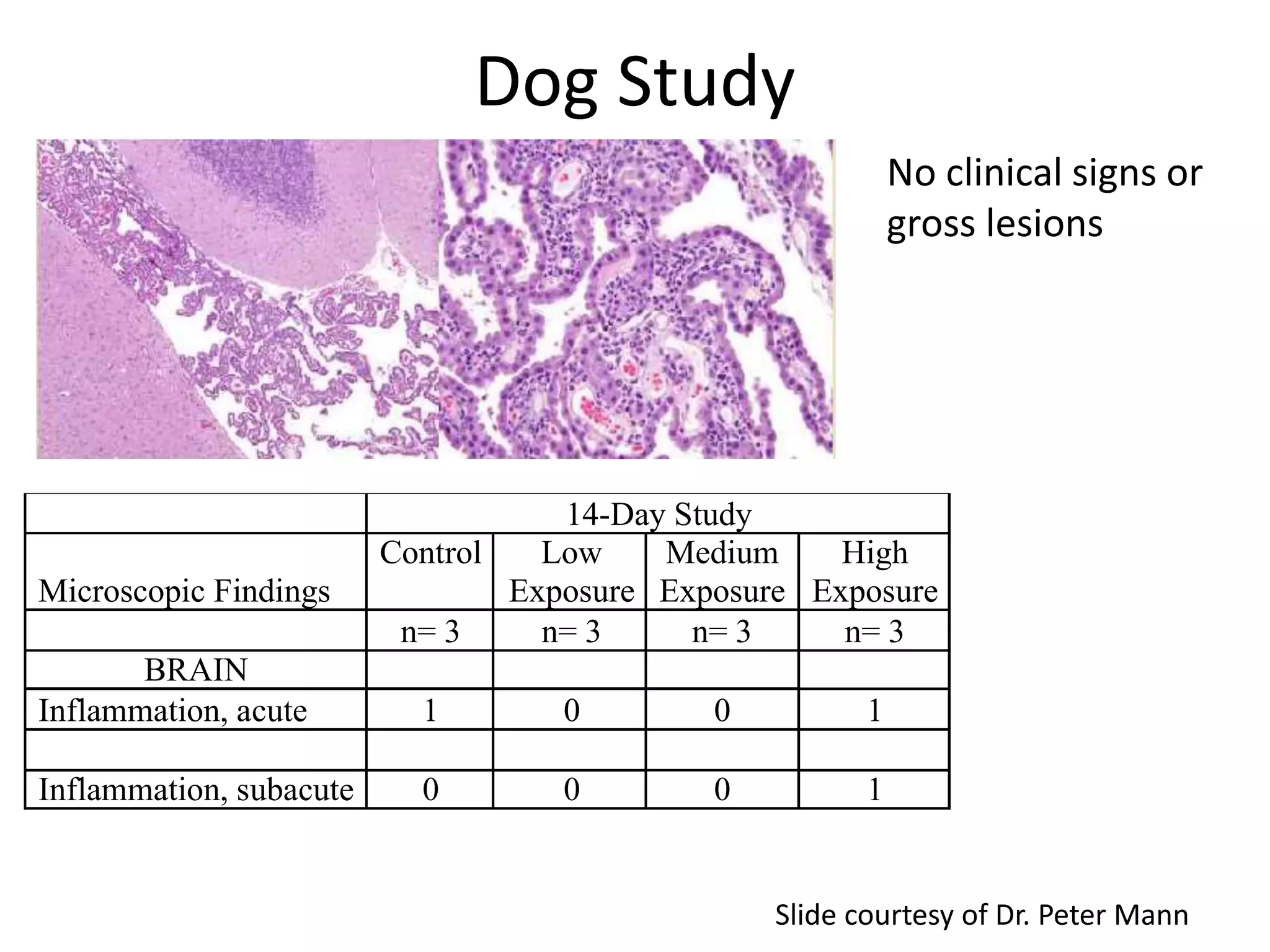14-Day Study
Microscopic Findings
Control Low
Exposure
Medium
Exposure
High
Exposure
n= 3 n= 3 n= 3 n= 3
BRAIN
Inflammation, acute 1 0 0 1
Inflammation, subacute 0 0 0 1
Dog Study
No clinical signs or
gross lesions
Slide courtesy of Dr. Peter Mann
 