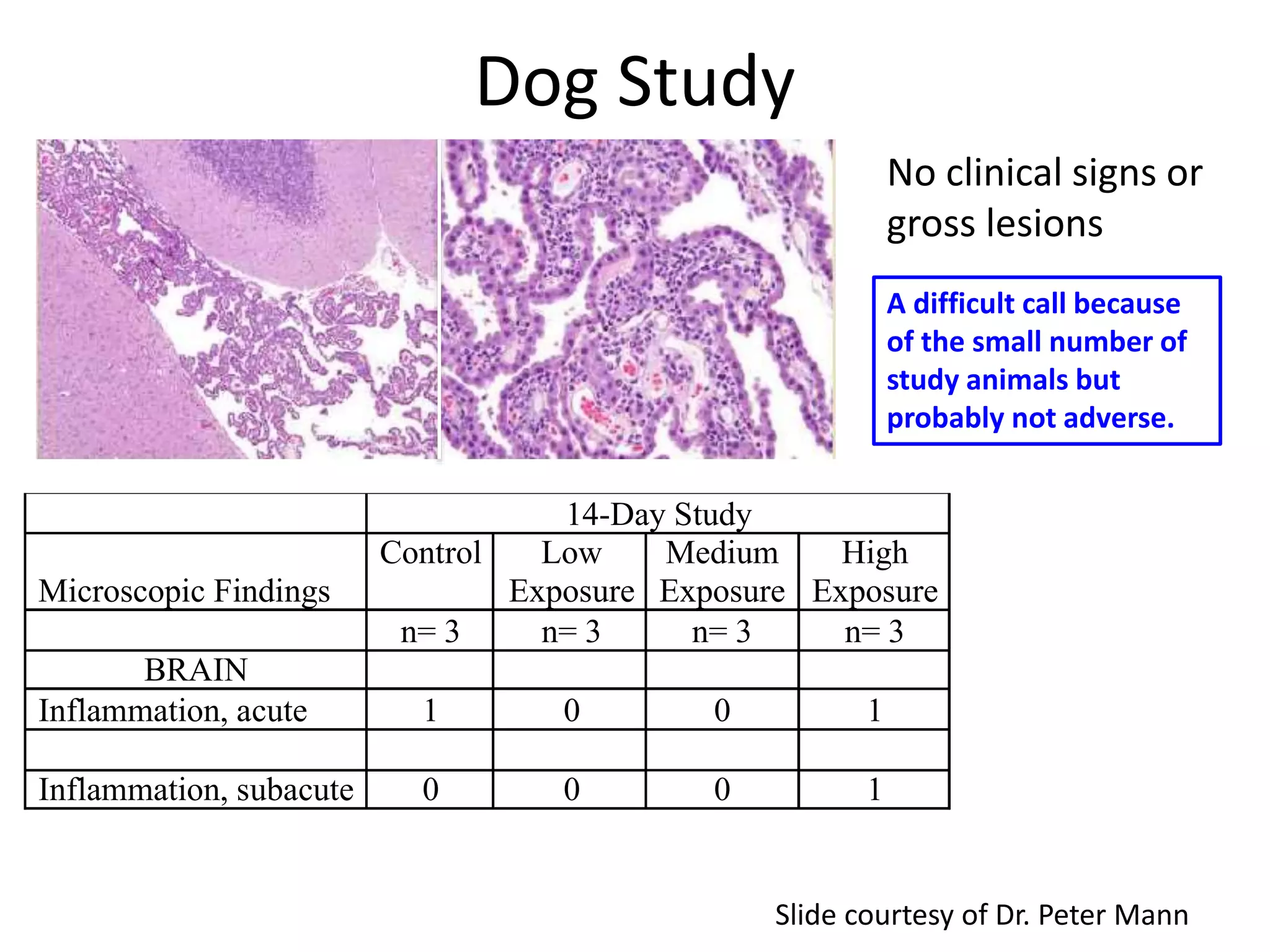14-Day Study
Microscopic Findings
Control Low
Exposure
Medium
Exposure
High
Exposure
n= 3 n= 3 n= 3 n= 3
BRAIN
Inflammation, acute 1 0 0 1
Inflammation, subacute 0 0 0 1
Dog Study
No clinical signs or
gross lesions
Slide courtesy of Dr. Peter Mann
A difficult call because
of the small number of
study animals but
probably not adverse.
 