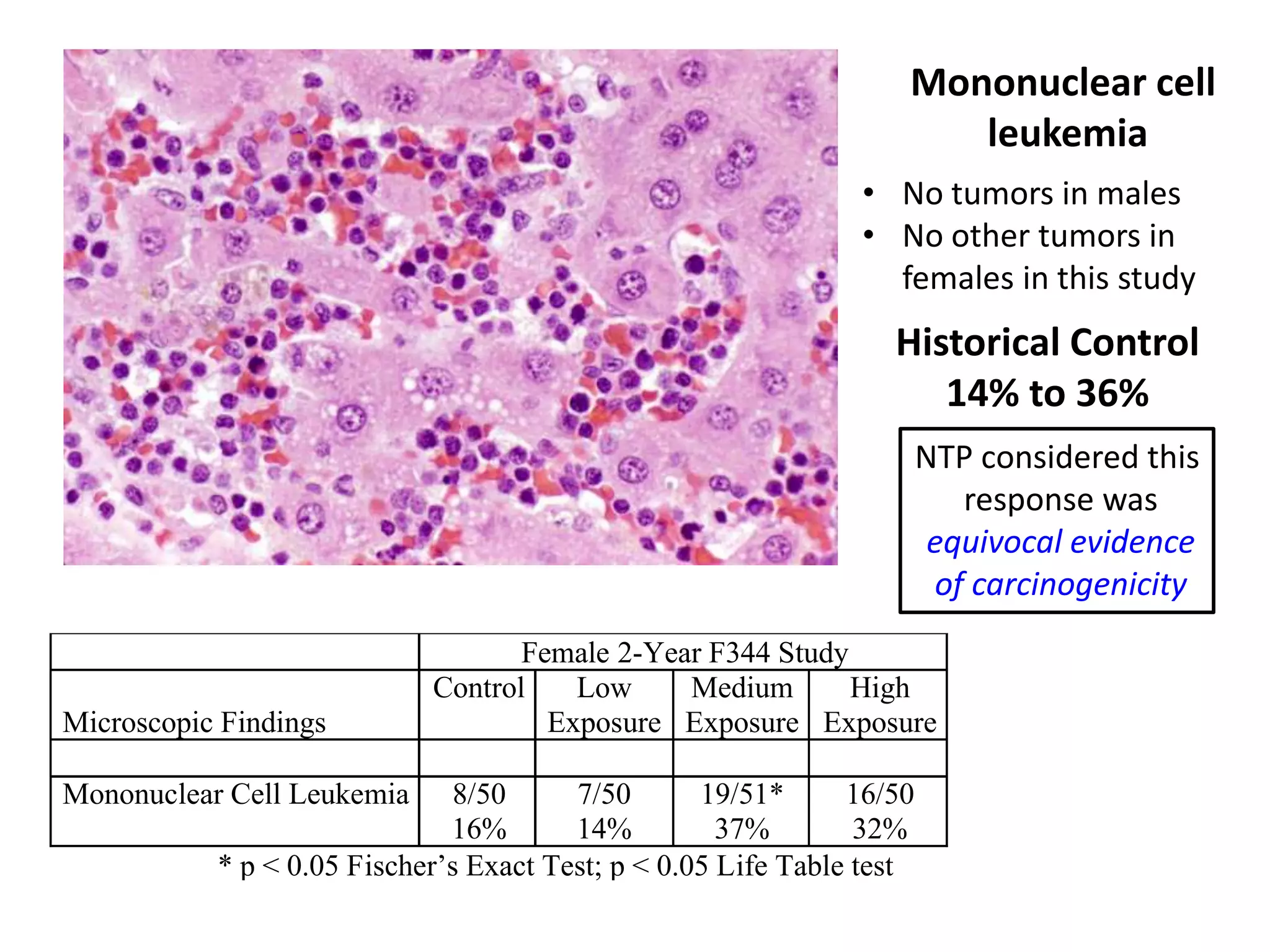 Female 2-Year F344 Study
Microscopic Findings
Control Low
Exposure
Medium
Exposure
High
Exposure
Mononuclear Cell Leukemia 8/50
16%
7/50
14%
19/51*
37%
16/50
32%
* p < 0.05 Fischer’s Exact Test; p < 0.05 Life Table test
Mononuclear cell
leukemia
• No tumors in males
• No other tumors in
females in this study
Historical Control
14% to 36%
NTP considered this
response was
equivocal evidence
of carcinogenicity
 