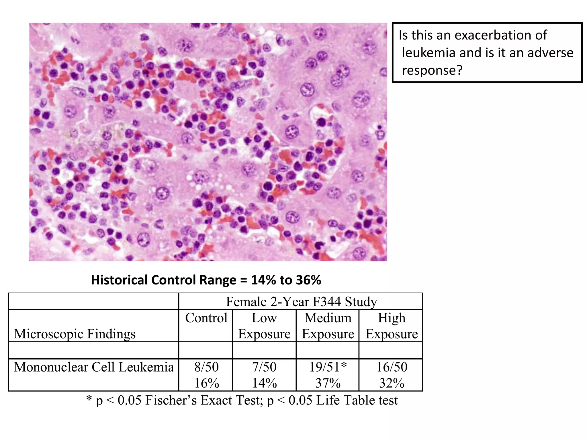 Female 2-Year F344 Study
Microscopic Findings
Control Low
Exposure
Medium
Exposure
High
Exposure
Mononuclear Cell Leukemia 8/50
16%
7/50
14%
19/51*
37%
16/50
32%
* p < 0.05 Fischer’s Exact Test; p < 0.05 Life Table test
Historical Control Range = 14% to 36%
Is this an exacerbation of
leukemia and is it an adverse
response?
 