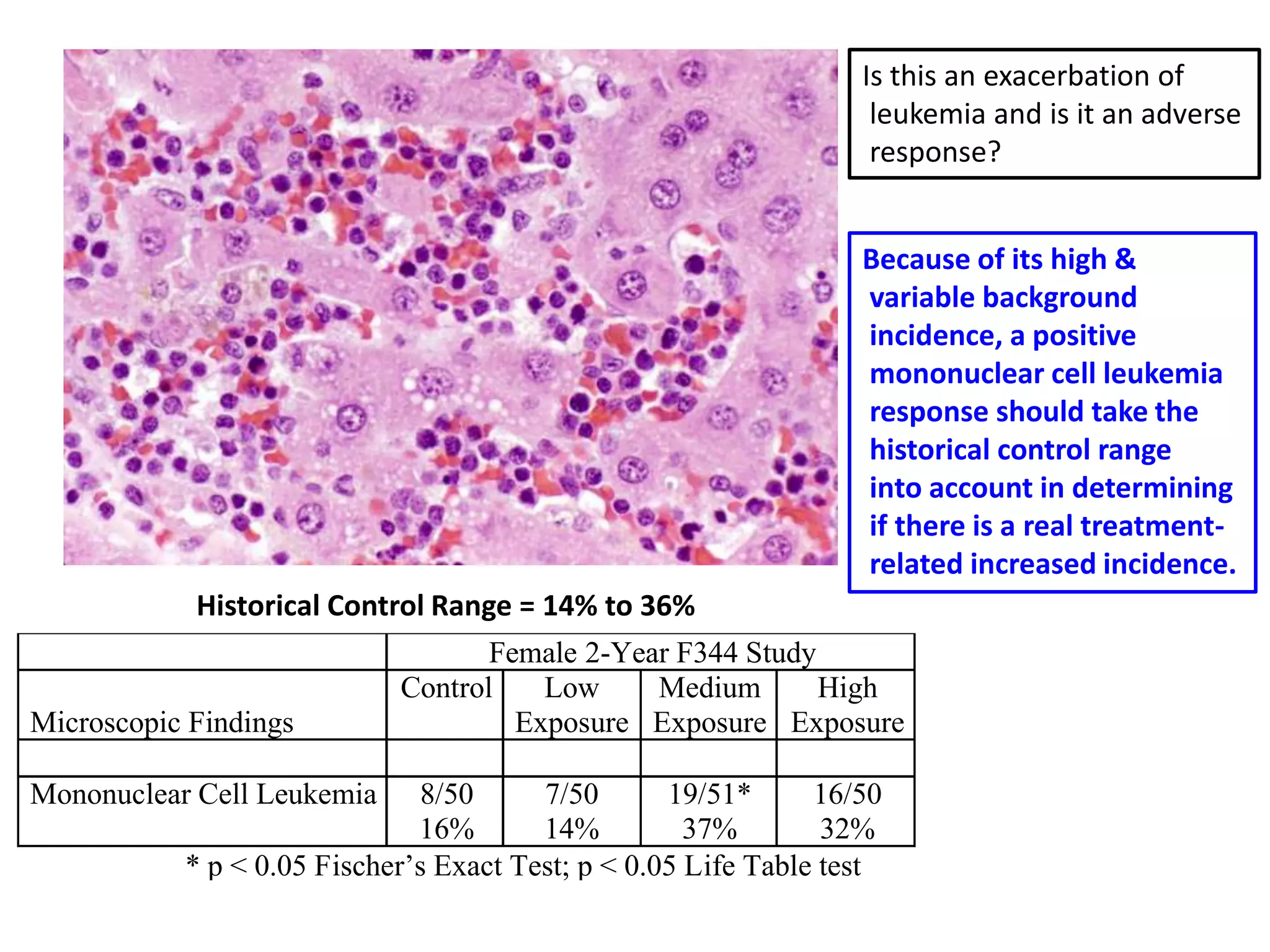 Female 2-Year F344 Study
Microscopic Findings
Control Low
Exposure
Medium
Exposure
High
Exposure
Mononuclear Cell Leukemia 8/50
16%
7/50
14%
19/51*
37%
16/50
32%
* p < 0.05 Fischer’s Exact Test; p < 0.05 Life Table test
Historical Control Range = 14% to 36%
Is this an exacerbation of
leukemia and is it an adverse
response?
Because of its high &
variable background
incidence, a positive
mononuclear cell leukemia
response should take the
historical control range
into account in determining
if there is a real treatment-
related increased incidence.
 