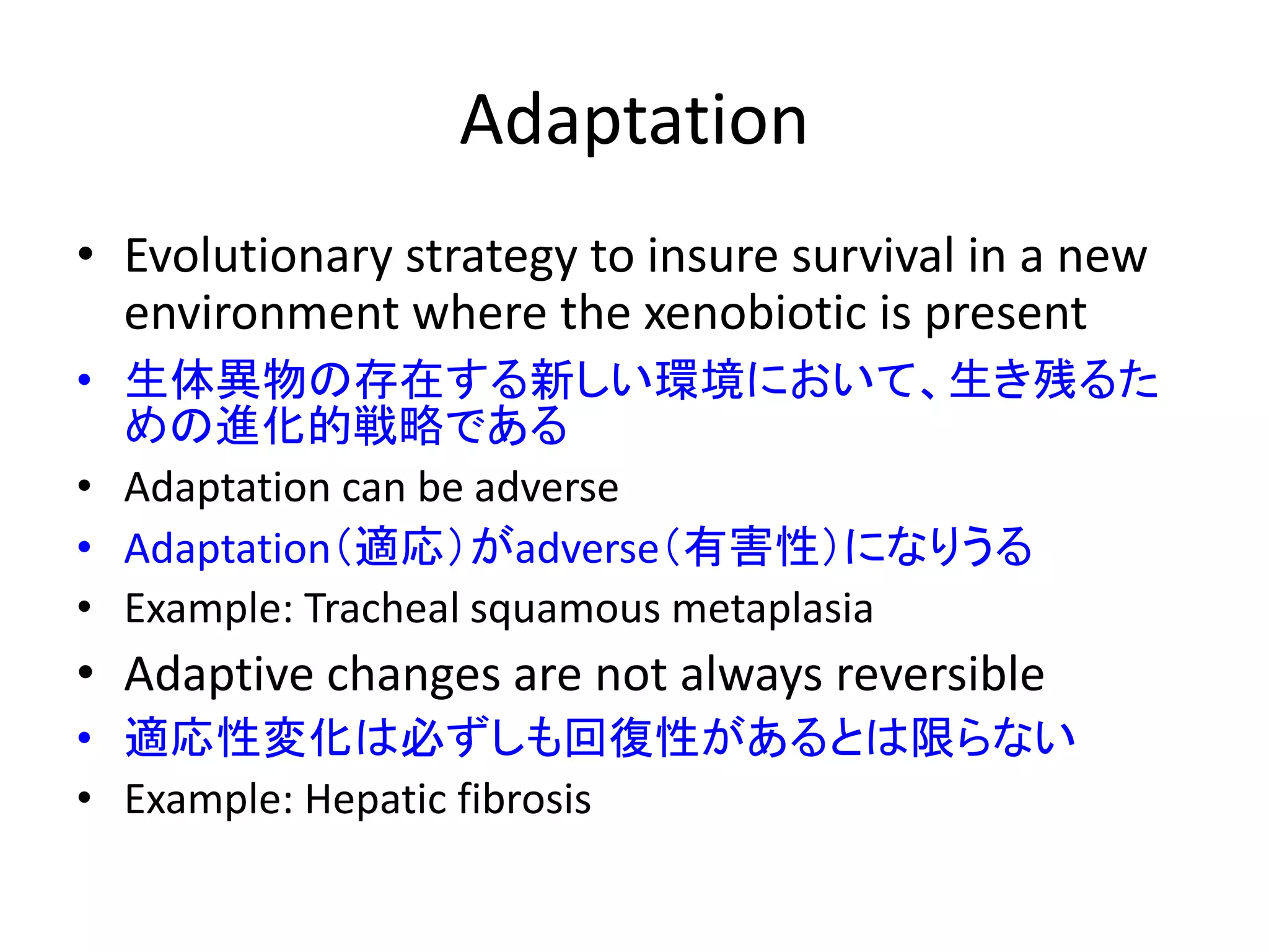 Adaptation
• Evolutionary strategy to insure survival in a new
environment where the xenobiotic is present
• 生体異物の存在する新しい環境において、生き残るた
めの進化的戦略である
• Adaptation can be adverse
• Adaptation（適応）がadverse（有害性）になりうる
• Example: Tracheal squamous metaplasia
• Adaptive changes are not always reversible
• 適応性変化は必ずしも回復性があるとは限らない
• Example: Hepatic fibrosis
 