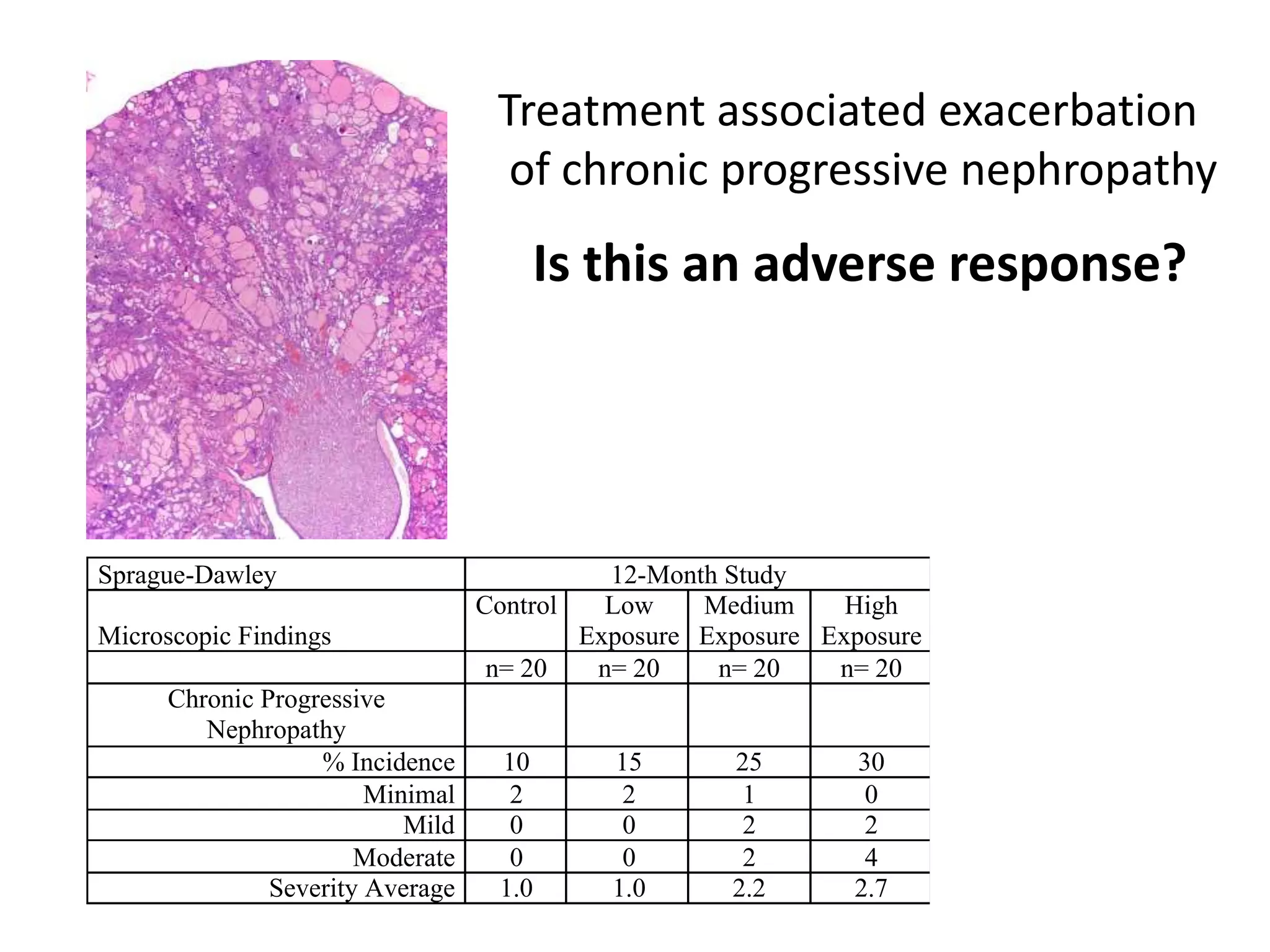 Sprague-Dawley 12-Month Study
Microscopic Findings
Control Low
Exposure
Medium
Exposure
High
Exposure
n= 20 n= 20 n= 20 n= 20
Chronic Progressive
Nephropathy
% Incidence 10 15 25 30
Minimal 2 2 1 0
Mild 0 0 2 2
Moderate 0 0 2 4
Severity Average 1.0 1.0 2.2 2.7
Treatment associated exacerbation
of chronic progressive nephropathy
Is this an adverse response?
 