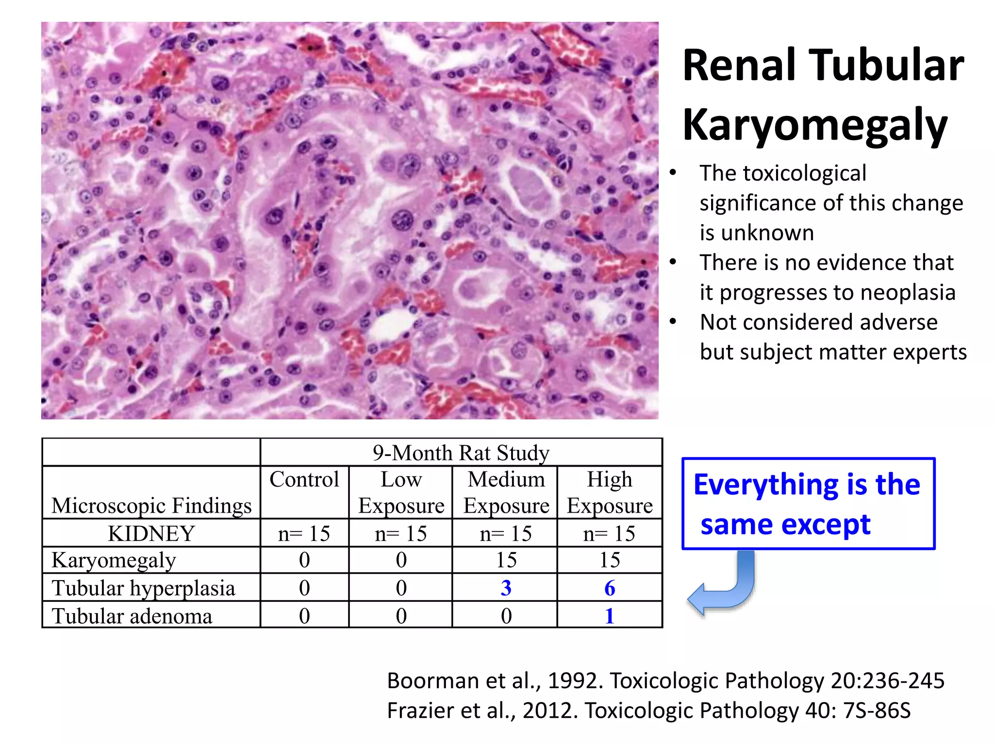Renal Tubular
Karyomegaly
Boorman et al., 1992. Toxicologic Pathology 20:236-245
Frazier et al., 2012. Toxicologic Pathology 40: 7S-86S
• The toxicological
significance of this change
is unknown
• There is no evidence that
it progresses to neoplasia
• Not considered adverse
but subject matter experts
9-Month Rat Study
Microscopic Findings
Control Low
Exposure
Medium
Exposure
High
Exposure
KIDNEY n= 15 n= 15 n= 15 n= 15
Karyomegaly 0 0 15 15
Tubular hyperplasia 0 0 3 6
Tubular adenoma 0 0 0 1
Everything is the
same except
 