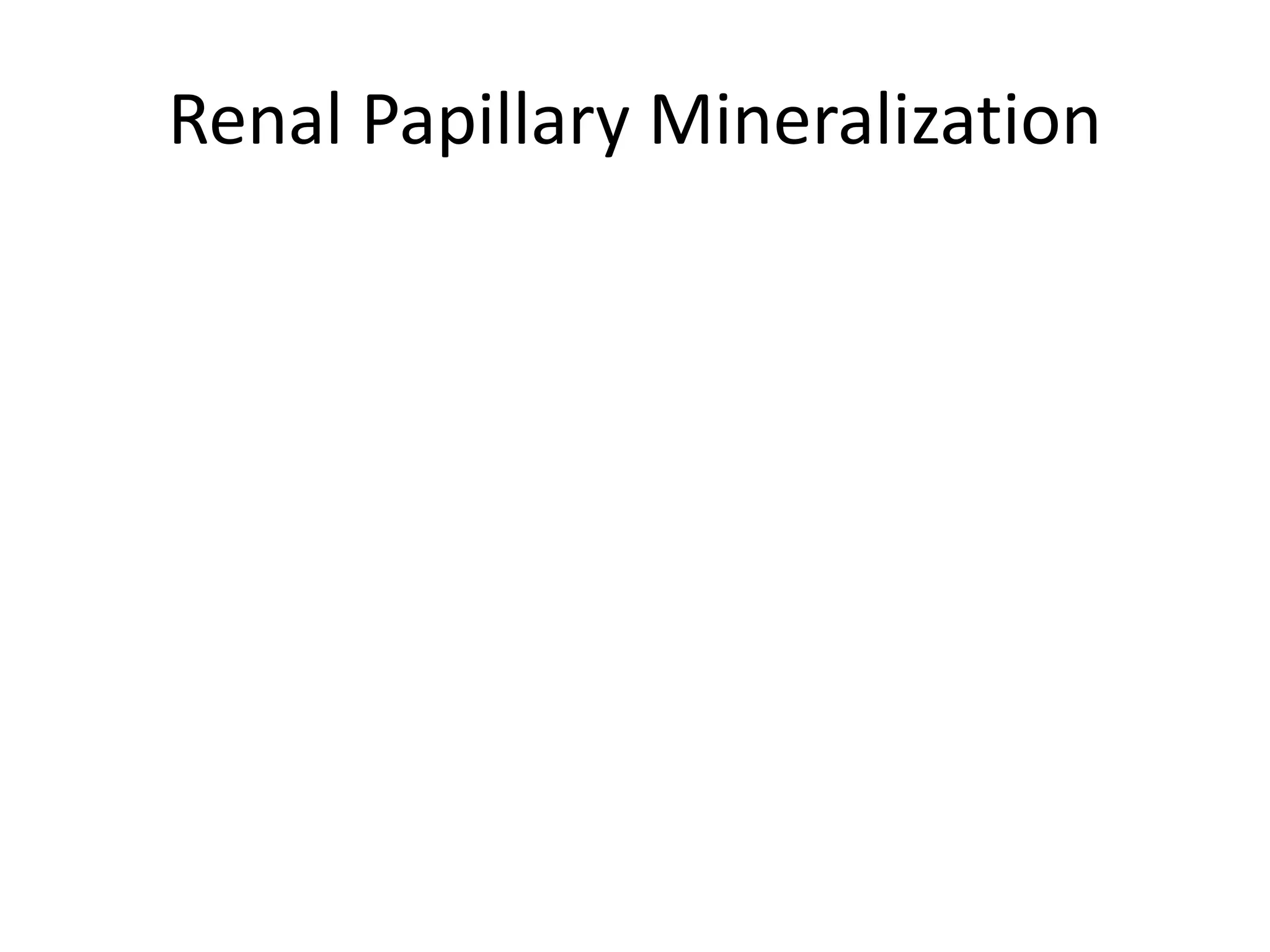 Renal Papillary Mineralization
 