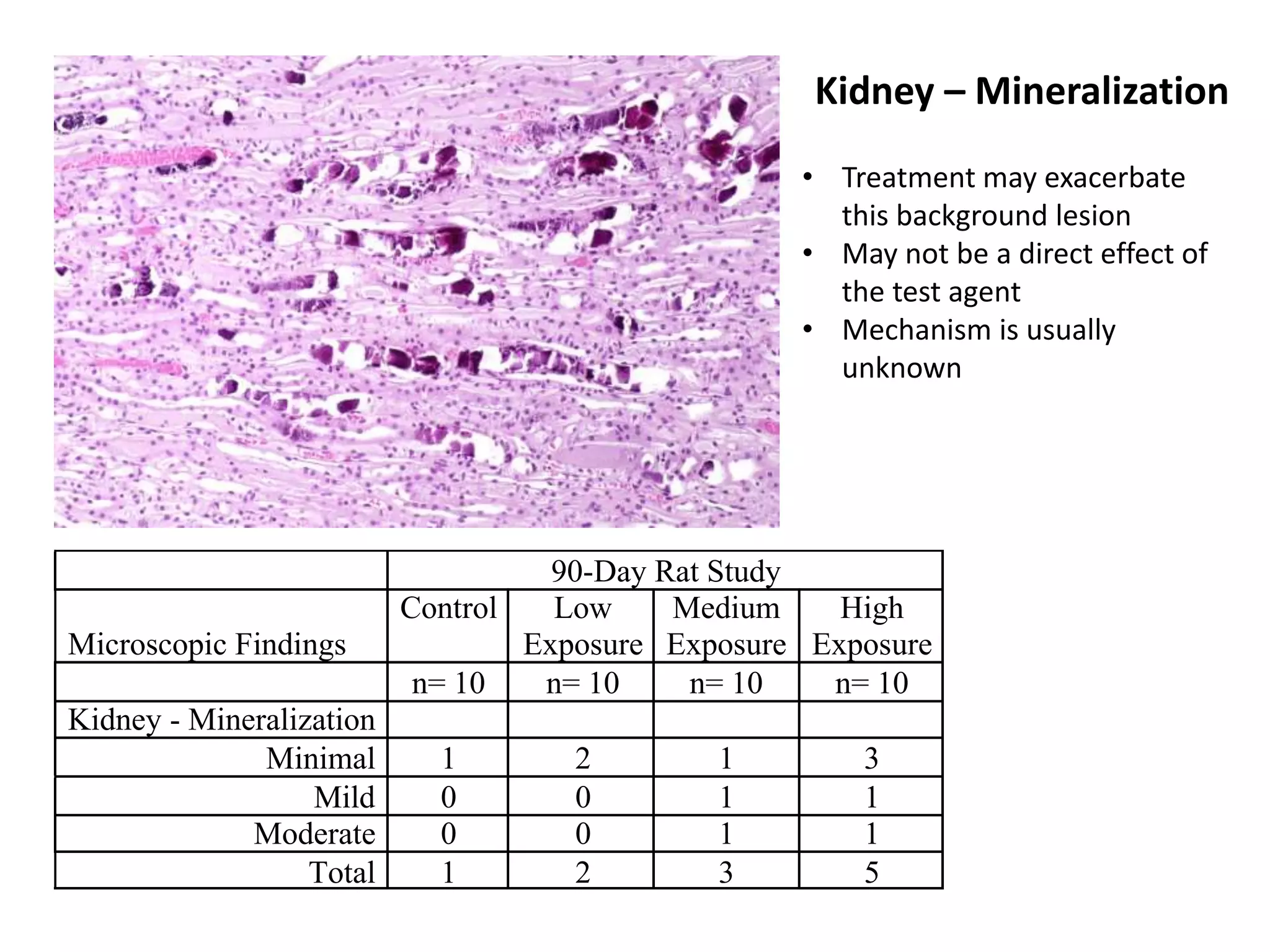 90-Day Rat Study
Microscopic Findings
Control Low
Exposure
Medium
Exposure
High
Exposure
n= 10 n= 10 n= 10 n= 10
Kidney - Mineralization
Minimal 1 2 1 3
Mild 0 0 1 1
Moderate 0 0 1 1
Total 1 2 3 5
Kidney – Mineralization
• Treatment may exacerbate
this background lesion
• May not be a direct effect of
the test agent
• Mechanism is usually
unknown
 