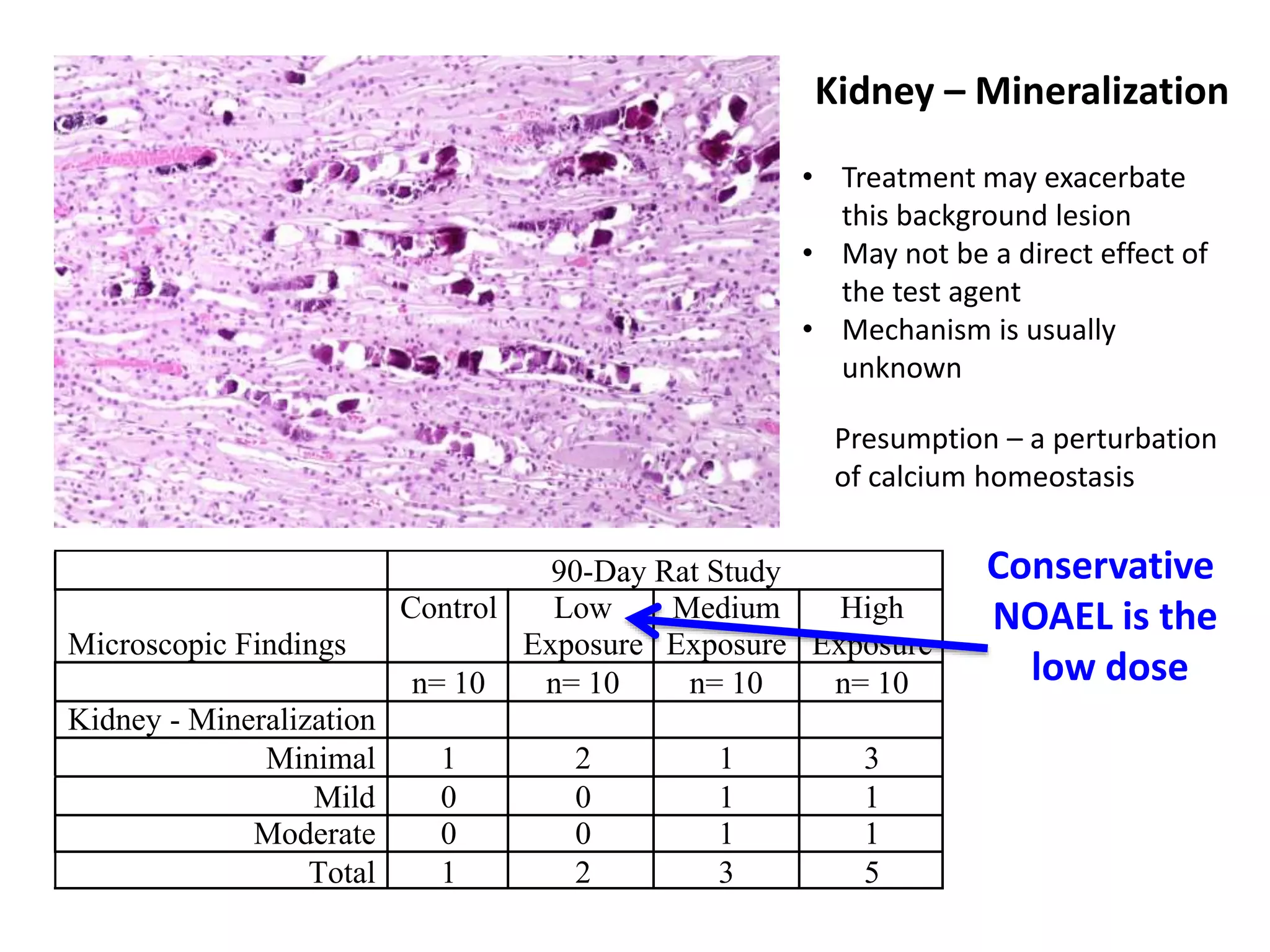 90-Day Rat Study
Microscopic Findings
Control Low
Exposure
Medium
Exposure
High
Exposure
n= 10 n= 10 n= 10 n= 10
Kidney - Mineralization
Minimal 1 2 1 3
Mild 0 0 1 1
Moderate 0 0 1 1
Total 1 2 3 5
Kidney – Mineralization
• Treatment may exacerbate
this background lesion
• May not be a direct effect of
the test agent
• Mechanism is usually
unknown
Presumption – a perturbation
of calcium homeostasis
Conservative
NOAEL is the
low dose
 