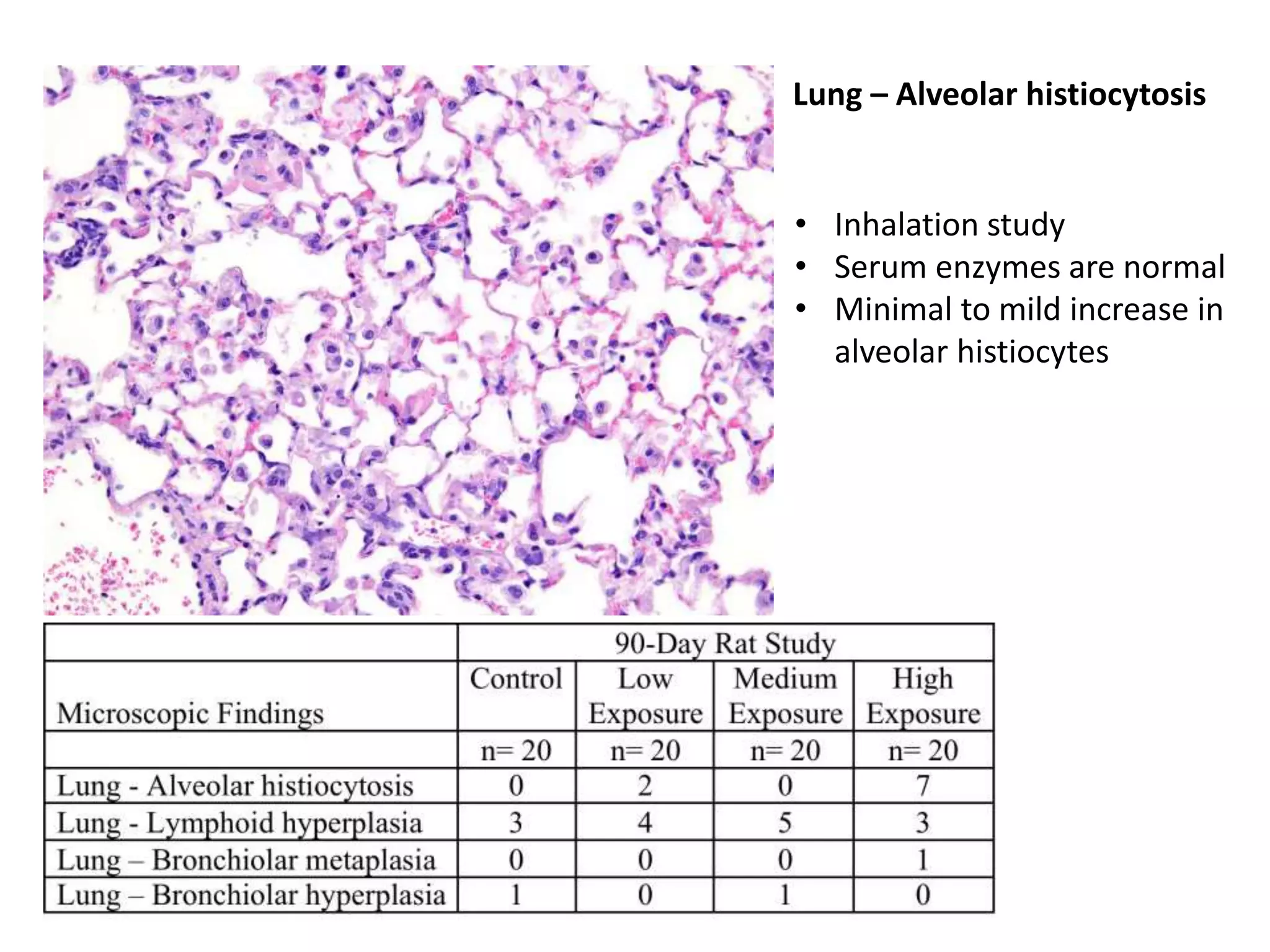 Lung – Alveolar histiocytosis
• Inhalation study
• Serum enzymes are normal
• Minimal to mild increase in
alveolar histiocytes
 