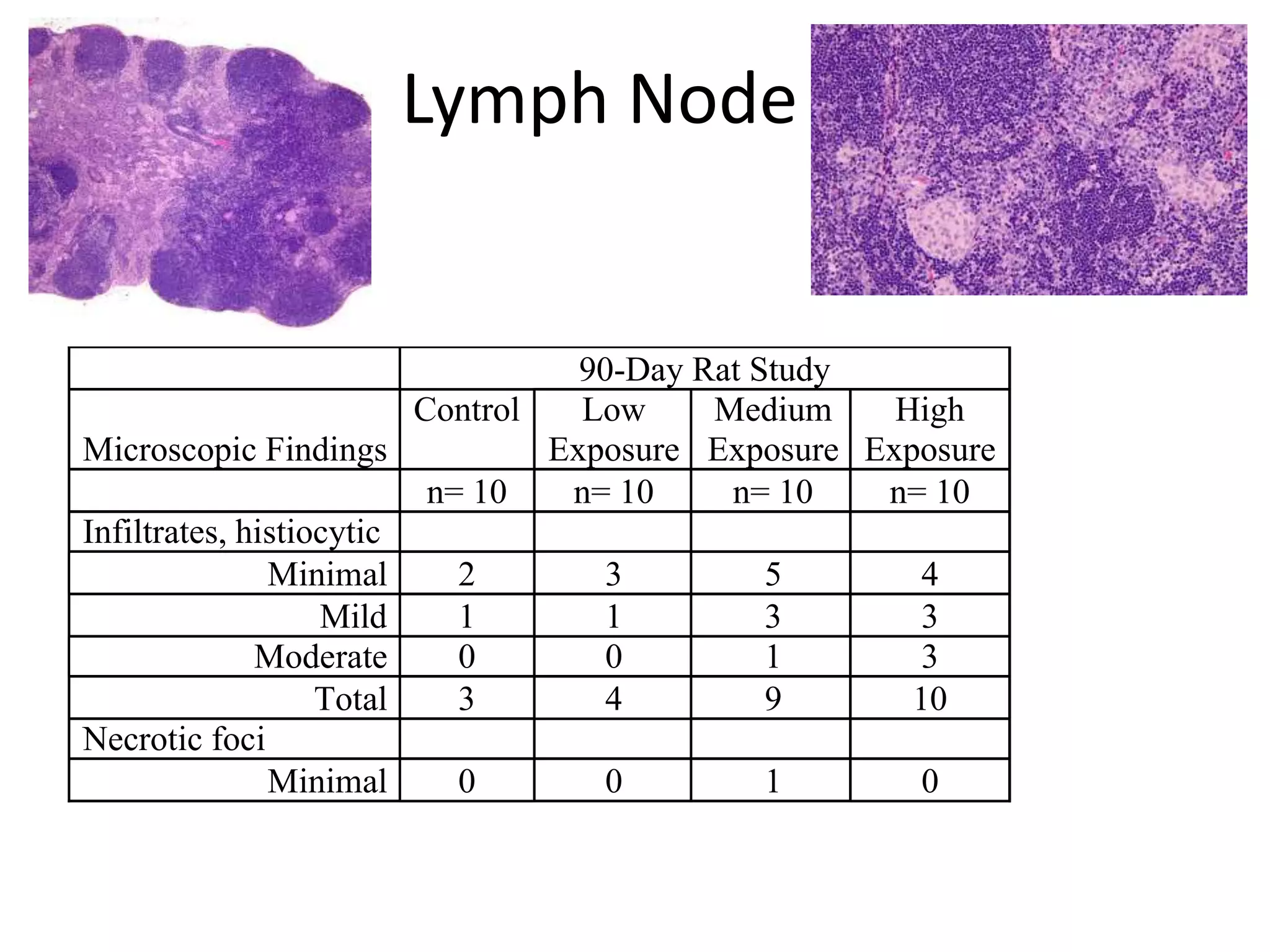 Lymph Node
90-Day Rat Study
Microscopic Findings
Control Low
Exposure
Medium
Exposure
High
Exposure
n= 10 n= 10 n= 10 n= 10
Infiltrates, histiocytic
Minimal 2 3 5 4
Mild 1 1 3 3
Moderate 0 0 1 3
Total 3 4 9 10
Necrotic foci
Minimal 0 0 1 0
 