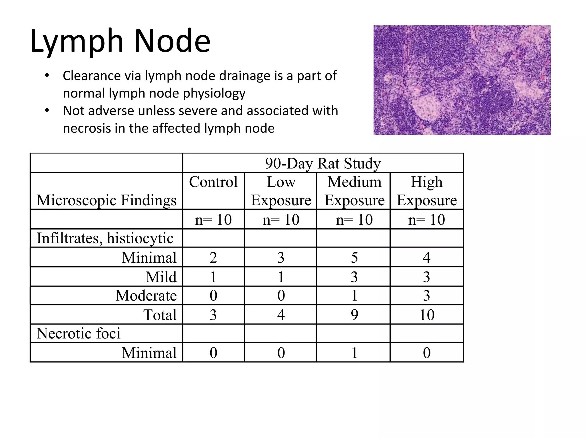 90-Day Rat Study
Microscopic Findings
Control Low
Exposure
Medium
Exposure
High
Exposure
n= 10 n= 10 n= 10 n= 10
Infiltrates, histiocytic
Minimal 2 3 5 4
Mild 1 1 3 3
Moderate 0 0 1 3
Total 3 4 9 10
Necrotic foci
Minimal 0 0 1 0
Lymph Node
• Clearance via lymph node drainage is a part of
normal lymph node physiology
• Not adverse unless severe and associated with
necrosis in the affected lymph node
 