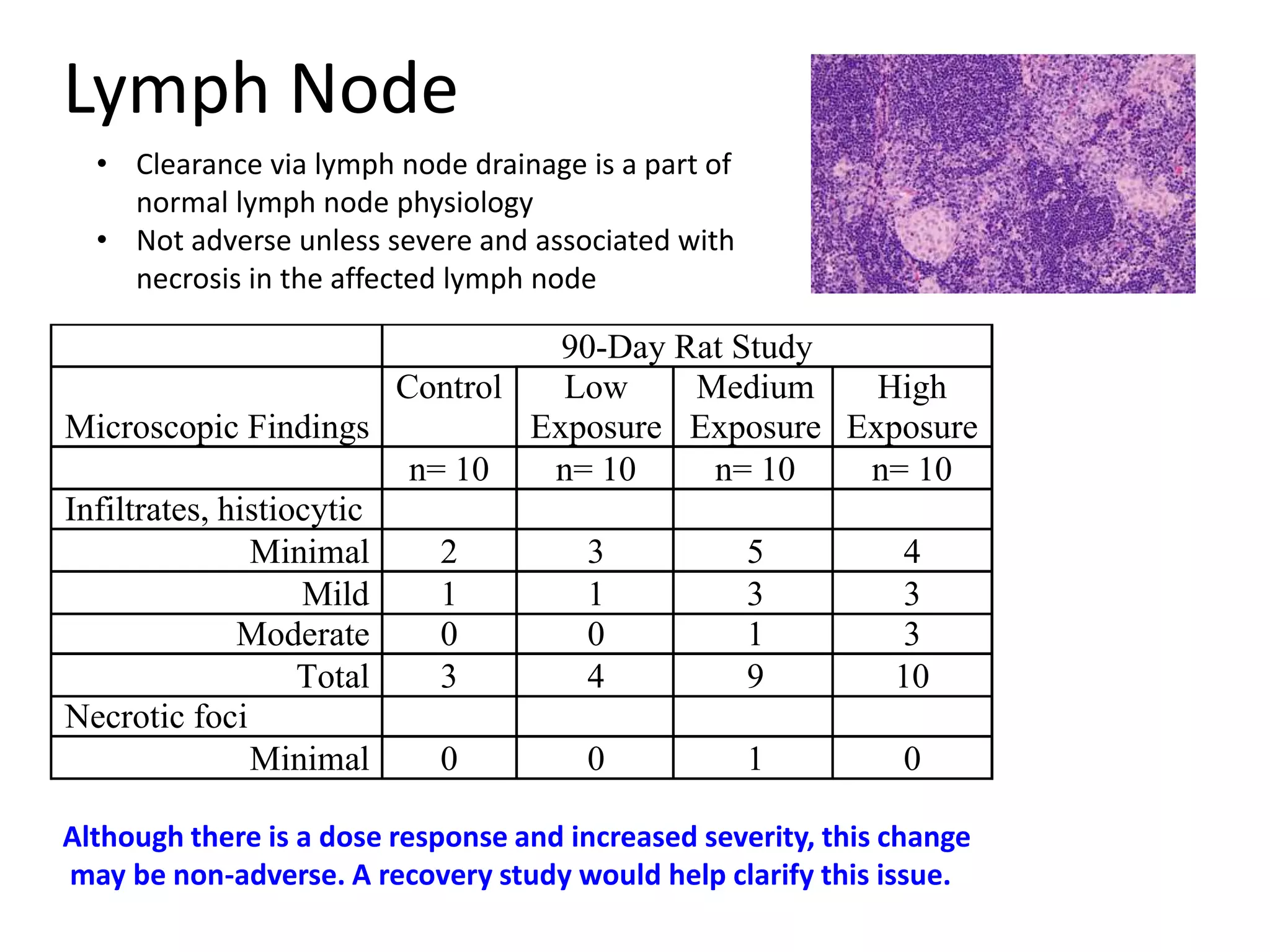 Lymph Node
Although there is a dose response and increased severity, this change
may be non-adverse. A recovery study would help clarify this issue.
90-Day Rat Study
Microscopic Findings
Control Low
Exposure
Medium
Exposure
High
Exposure
n= 10 n= 10 n= 10 n= 10
Infiltrates, histiocytic
Minimal 2 3 5 4
Mild 1 1 3 3
Moderate 0 0 1 3
Total 3 4 9 10
Necrotic foci
Minimal 0 0 1 0
• Clearance via lymph node drainage is a part of
normal lymph node physiology
• Not adverse unless severe and associated with
necrosis in the affected lymph node
 